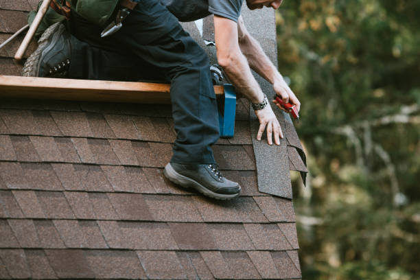 Quick and Trustworthy Emergency Roof Repair Services in Maple Plain, MN